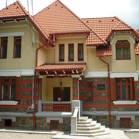 Pensiunea Micsunica Синая Экстерьер фото