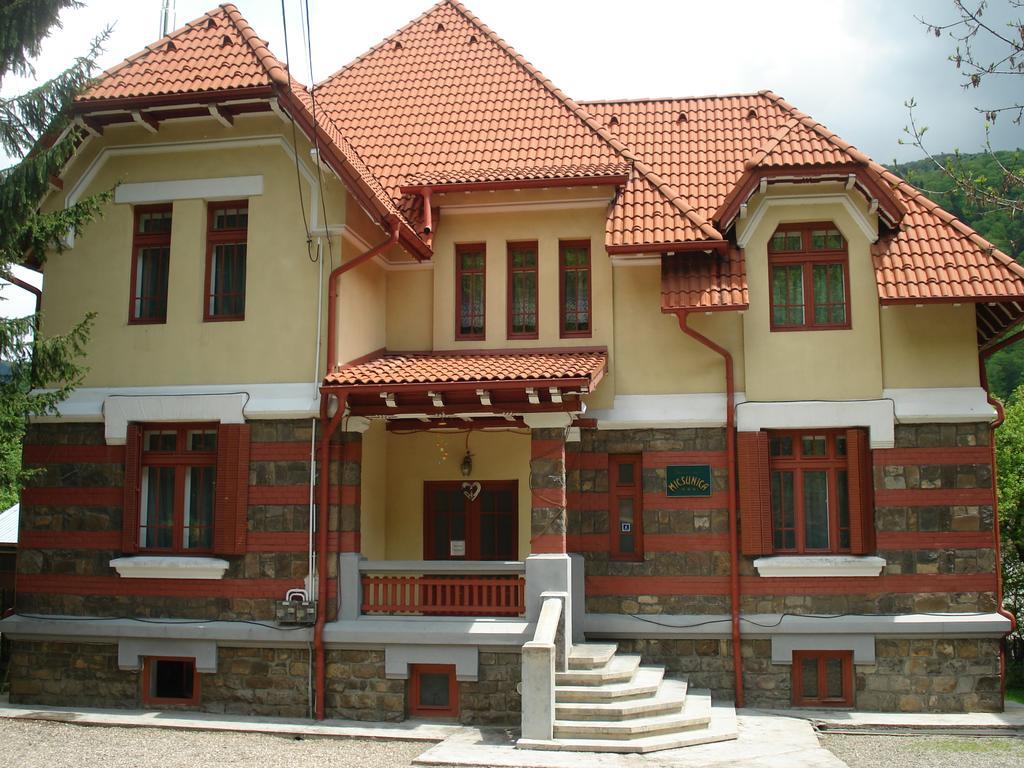 Pensiunea Micsunica Синая Экстерьер фото